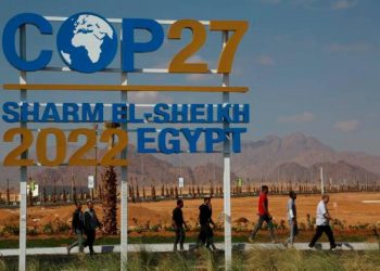 ¿Por qué Egipto expulsó a defensor de DD.HH. de la COP27?