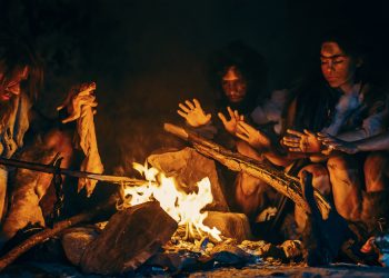 Primera evidencia del uso del fuego por humanos para cocinar