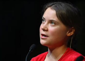 El efecto Thunberg en la COP27