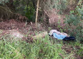 Reportan nuevo hallazgo del cuerpo de una mujer en la México-Cuernavaca