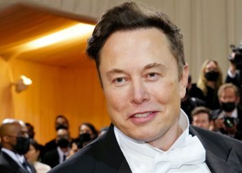 Esto dijo Elon Musk sobre senador de Estados Unidos que pidió explicaciones por impostores en Twitter