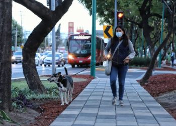Activan alerta por bajas temperaturas en CDMX