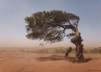 Conoce los esfuerzos internacionales para hacer frente a la emergencia climática