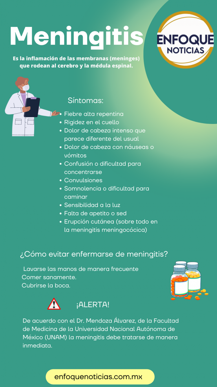 INFOGRAFIA: ¿Qué Es La Meningitis Y Por Qué Es Tan Peligrosa? - Enfoque ...