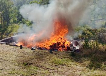 FGR  ha incinerado más de cien toneladas de droga en lo que va del 2022