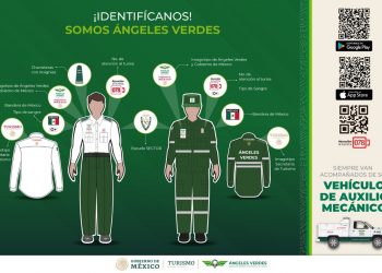 Te presentamos la nueva imagen de Los Ángeles Verdes