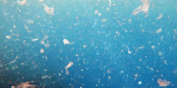 Los microplásticos en los fondos marinos se han triplicado en veinte años