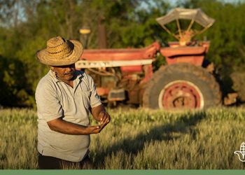 Denuncian agricultores nulo apoyo al campo
