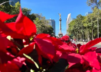 Metro y Metrobús ampliarán horario por concierto de los Ángeles Azules