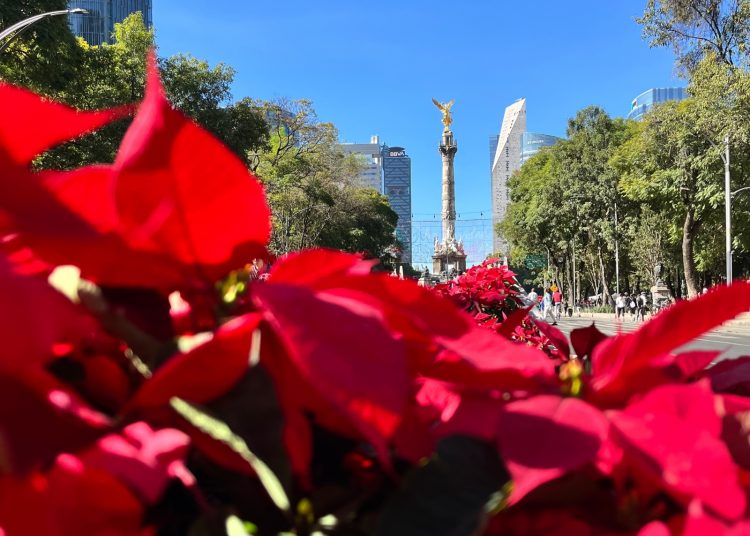 FOTO JUAN JOSÉ ROSALES