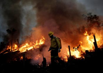 Incendios en Amazonía brasileña se disparan en noviembre doblando los de 2021