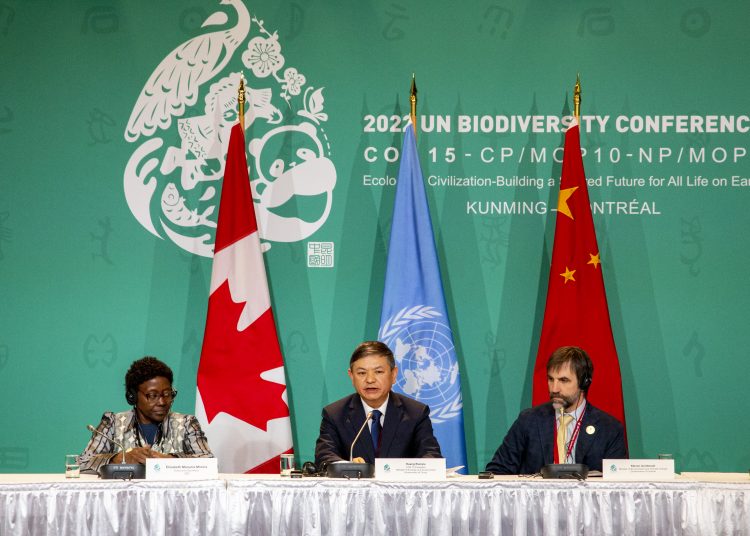 AME1385. MONTREAL (CANADÁ), 17/12/2022.- (i-d) La secretaria ejecutiva de la Convención sobre Diversidad Biológica, Elizabeth Maruma Mrema; el presidente de la Conferencia de la ONU sobre Biodiversidad COP15, el chino Huang Rinqiu; y el ministro de Medio Ambiente de Canadá, Steven Guilbeault, participan hoy en una rueda de prensa en Montreal (Canadá). Las diferencias sobre financiación siguen impidiendo el consenso en la Conferencia de la ONU sobre Biodiversidad COP15 a falta de 48 horas para que concluya la reunión aunque este sábado, el presidente de las negociaciones, el chino Huang Rinqiu, se mostró confiado en que se llegará a un acuerdo. EFE/Julio César Rivas