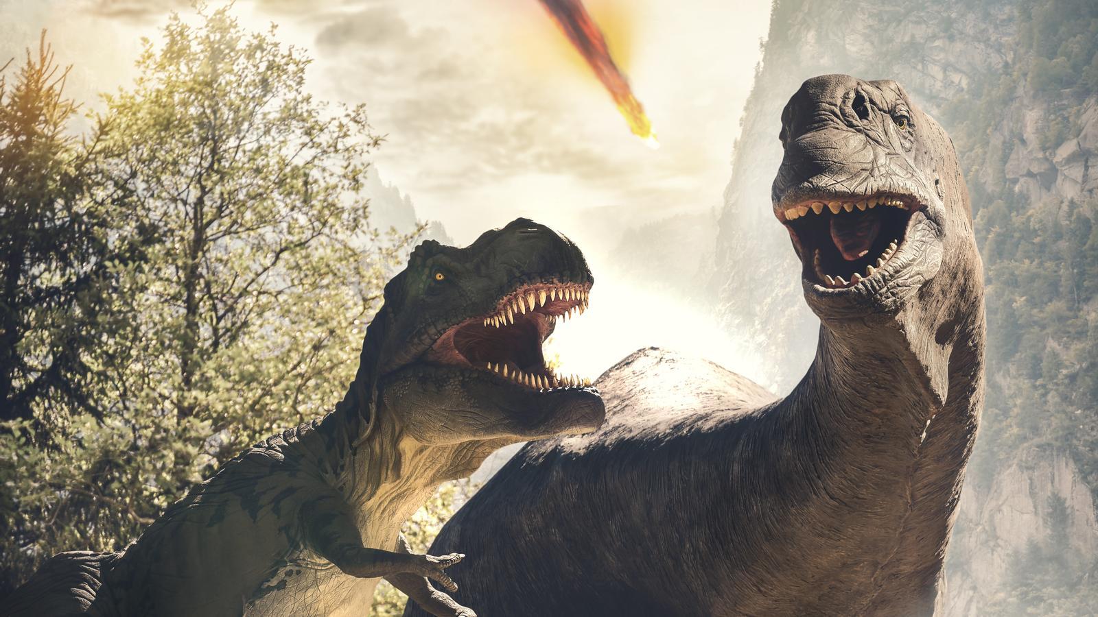 El cambio climático fue la clave en el ascenso de los dinosaurios - Enfoque  Noticias