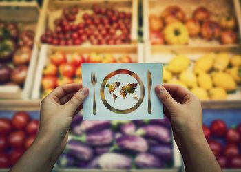 La alimentación mundial, en riesgo por la caída de los nutrientes del suelo