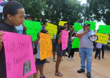 Denuncian que presuntos ambientalistas poseen criaderos de puercos en Yucatán