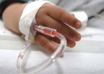 Autoridades de Oaxaca vigilan tres casos sospechosos de rabia