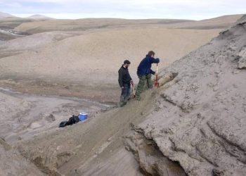 Hallan en Groenlandia el ADN más antiguo