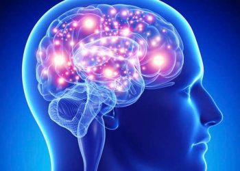 Estos son los casos que hay de meningitis en Durango