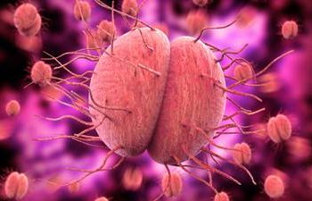Esto dijo la Cofepris sobre análisis realizados en Durango sospechosos de meningitis