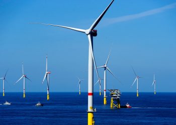 Parques eólicos impactan los ecosistemas marinos