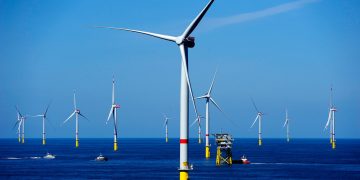 Parques eólicos impactan los ecosistemas marinos