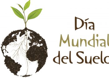 Hoy es el Día Mundial del Suelo