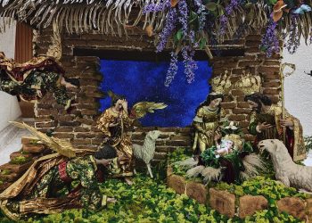 El Vaticano inaugura su belenes y enciende su árbol de Navidad