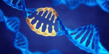 Descubren 100 mil nuevos tipos de virus ARN desconocidos por la ciencia