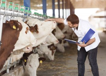La gripe aviar está controlada en México, Senasica cuida mucho el patrimonio agropecuario y producción animal