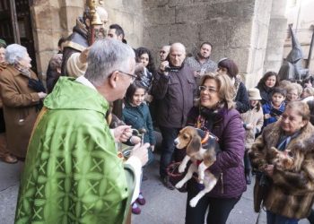 Hoy es el Día Internacional de Bendecir a los Animales