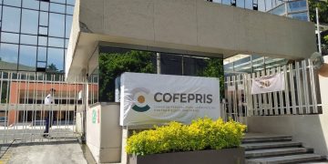 Llama la Cofepris a orientar a los menores sobre los riesgos al realizar retos en redes sociales