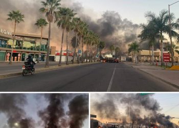 ¿Cuál es el significado de los dos golpes al crimen organizado en México?