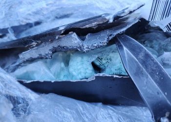 Detectan más de 23 mil pastillas de fentanilo en empresa de mensajería de Sinaloa