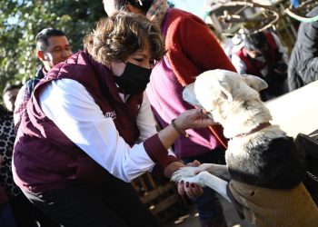 Delfina Gómez recorre granja de animales rescatados en Ixtapaluca; pide darles una vida digna