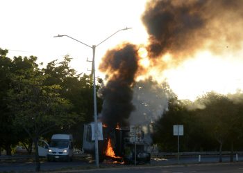 La Canaco resalta detención de Ovidio Guzmán