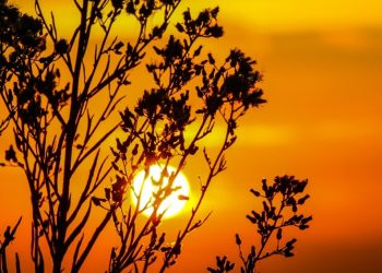 Calentamiento global alcanzará los 1.5°C en una década, alerta la calculadora Copernicus