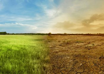 Calentamiento global puede alargar un mes la temporada de grandes incendios