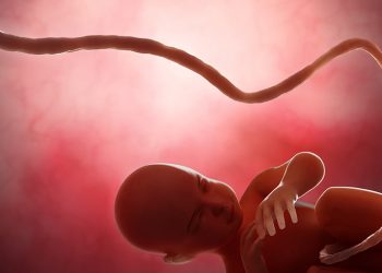 El uso del cordón umbilical en contra del cáncer