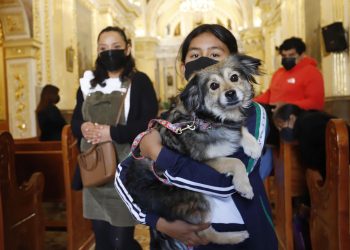 Cientos de mascotas desfilan en iglesia para su protección