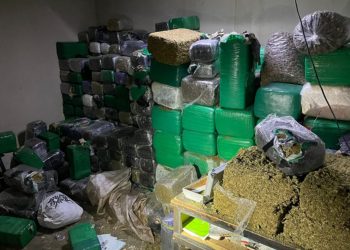 Fuerzas federales aseguran mil 800 kilogramos de marihuana empaquetada en Baja California