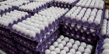 Ante altos precios, estadounidenses cruzan frontera para comprar huevo