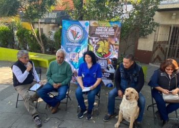 Este día de Reyes… no regales mascotas de compañía