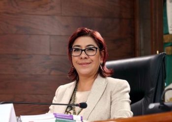 ¿Por qué es tan importante la protección de datos personales? Esto nos dijo Josefina Román Vergara, comisionada del INAI