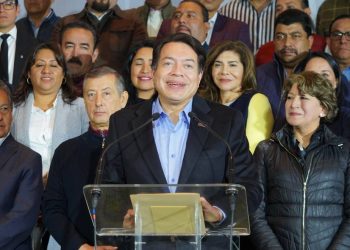 Hoy vamos a anunciar que vamos con el PT y Partido Verde en alianza en el Edomex: Delgado