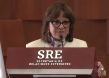 La ONU corre el riesgo de ya no servir: Martha Delgado