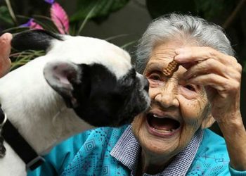 Clave para mantener el cerebro joven