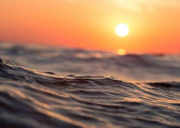 El calentamiento del mar reducirá el tamaño de los peces, asegura estudio
