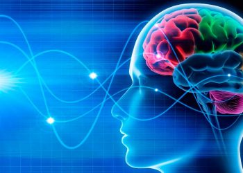 Estos son los audífonos que se sincronizan con tus ondas cerebrales