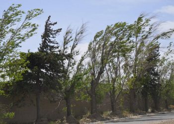 Activan Alerta Amarilla por rachas de viento en las 16 alcaldías de la CDMX