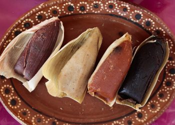 ¿Sabías qué existen más de 5 mil tipos de tamales? De esto y más nos habla investigadora